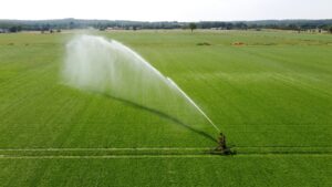 A sprinkler is irrigating a meadow on a hot dry day in the summer in California