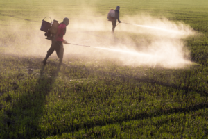 Exploring the complexities of toxic tort cases in California, including legal and regulatory challenges.